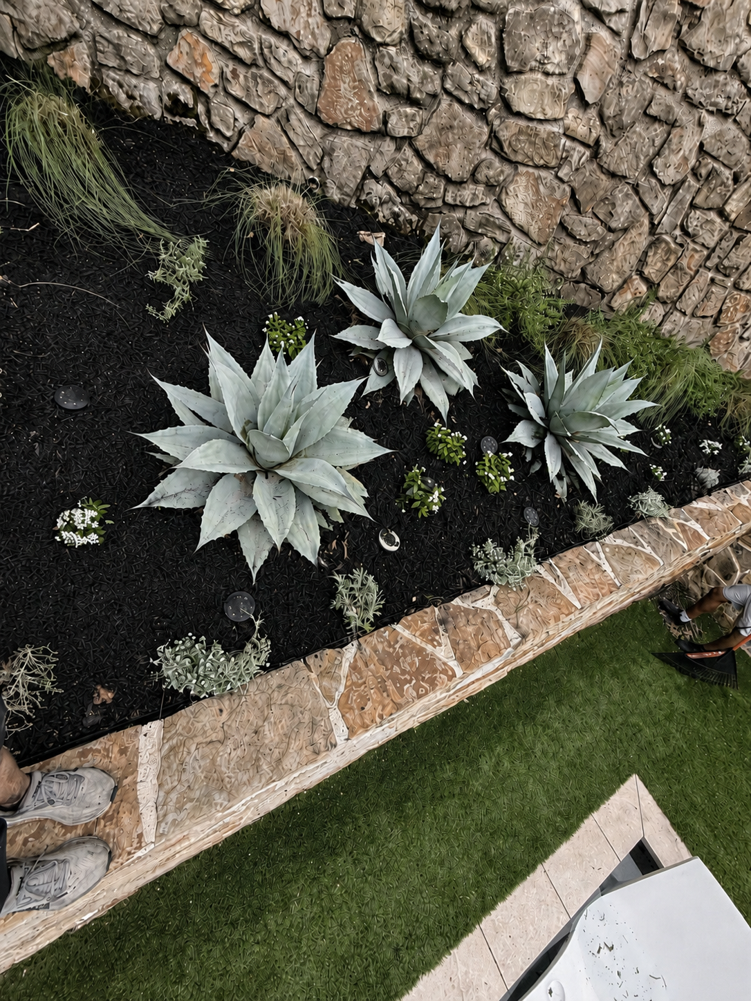 Poolside Planter Reset after