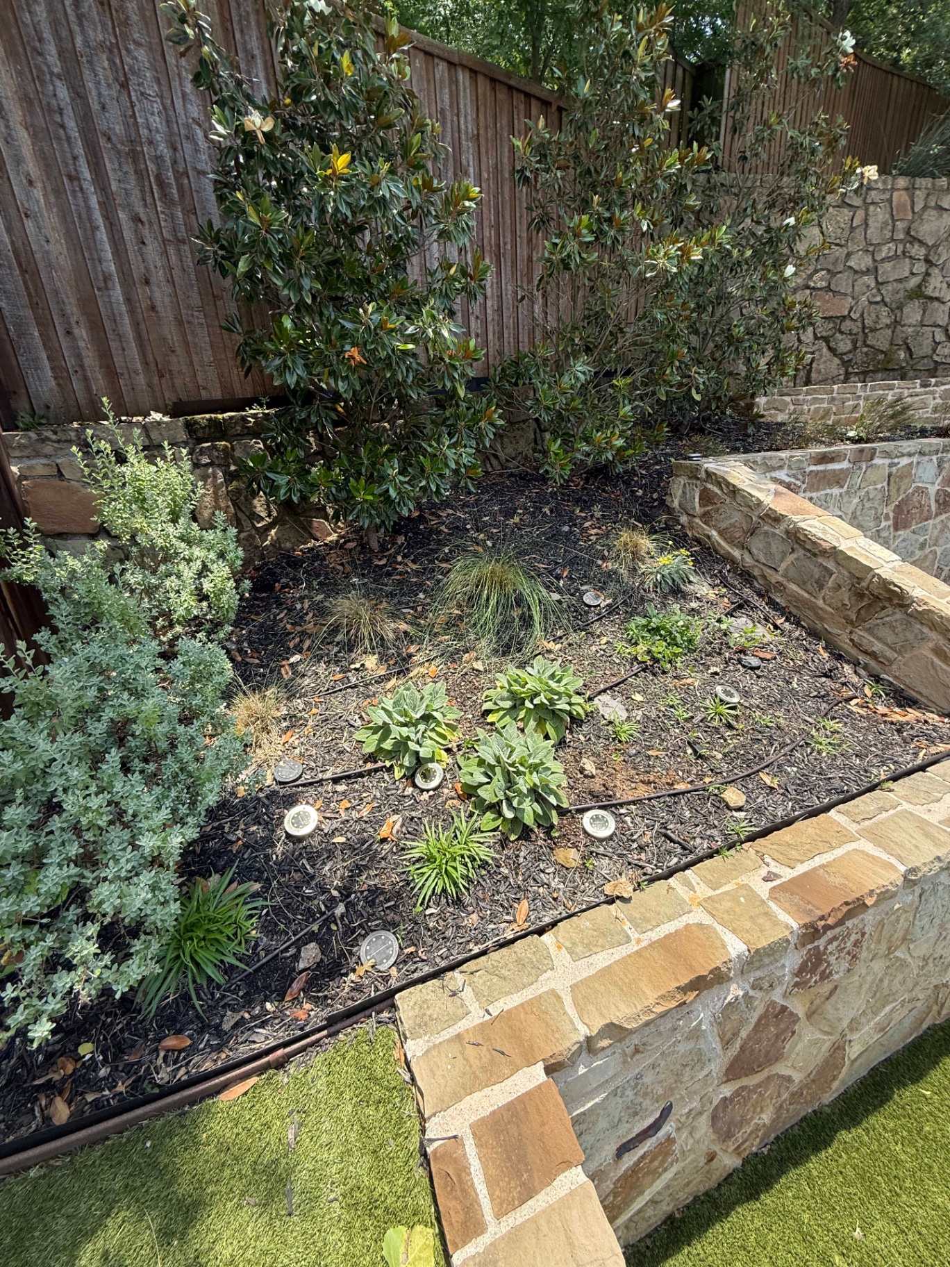 Back Corner Garden before